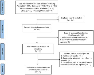 Association between sarcopenia and hemoglobin level: a systematic review and meta-analysis